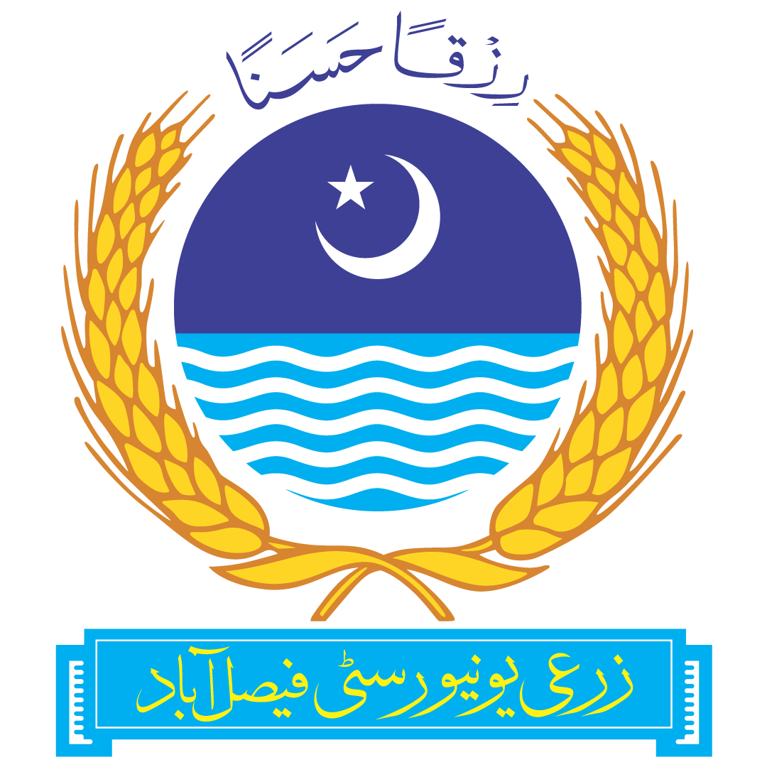 Government of Punjab